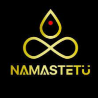 namastetu-technologies-logo